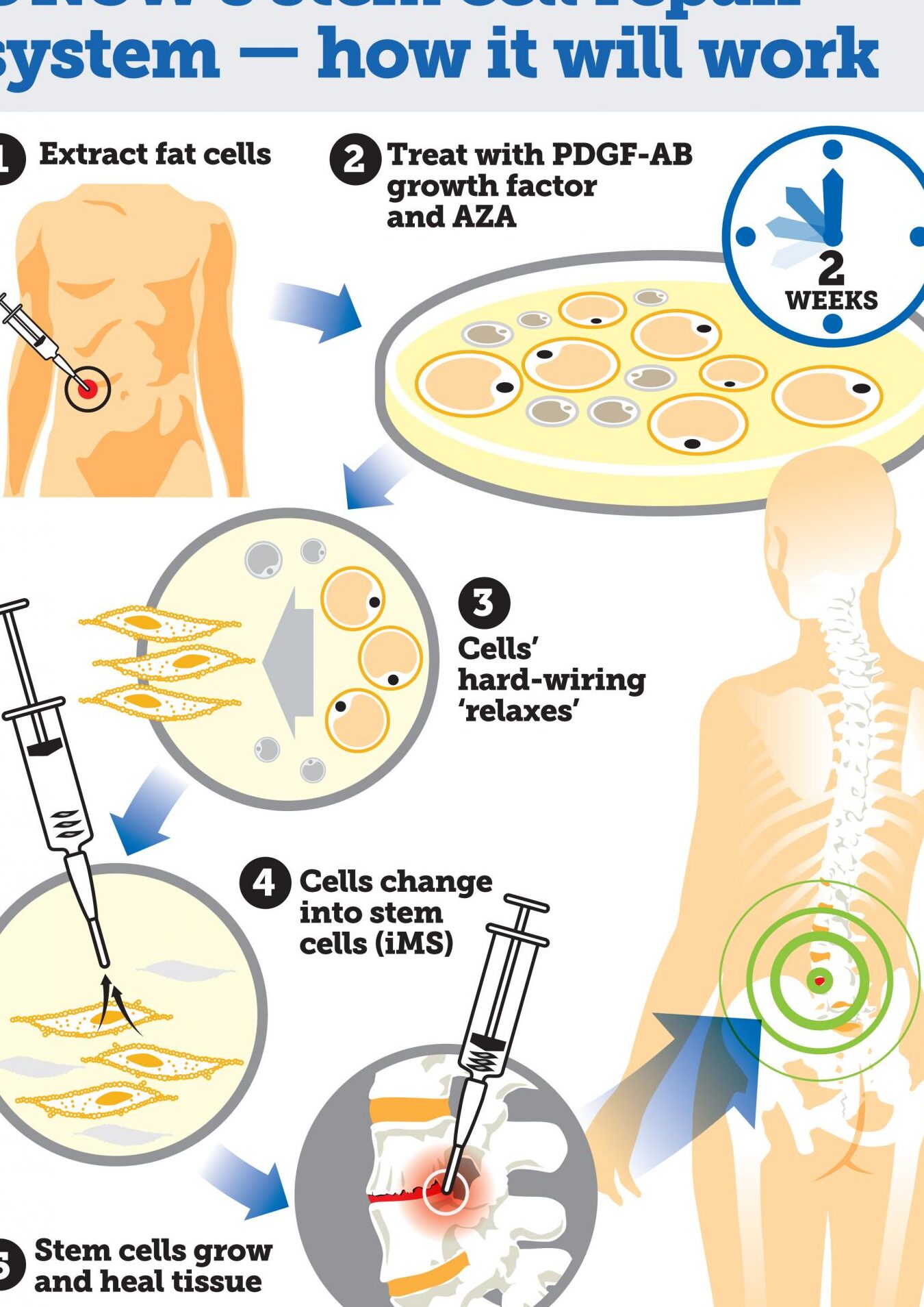 any cell repair