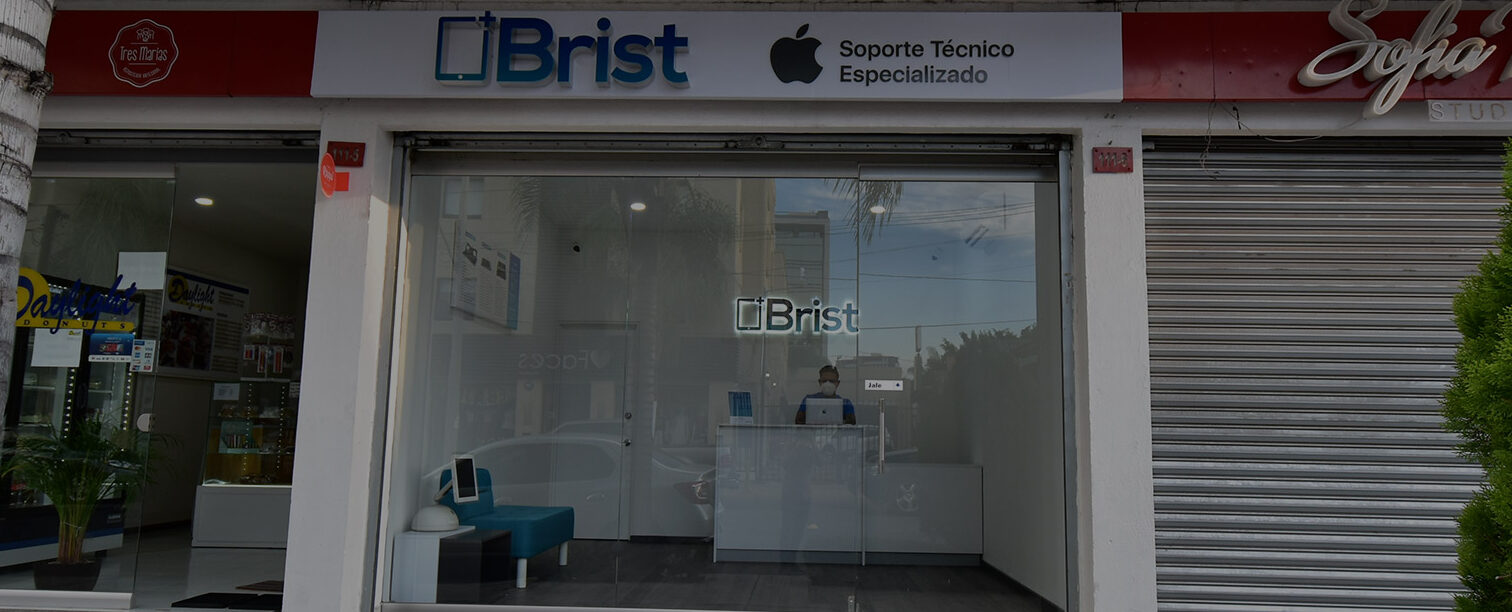 brist repair service del moral leon gto