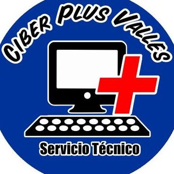 ciber plus valles hh informatica