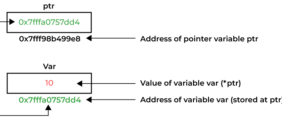 pointer computer solutions